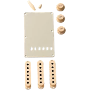 Accessories Fender Aged White Accessory Kit Strat