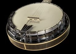 LR Baggs Banjo Pickup Accessories