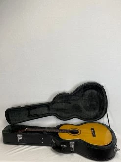 Used 1895 Washburn New Model