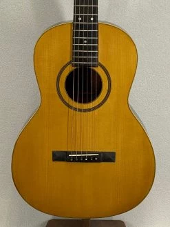 Used 1895 Washburn New Model