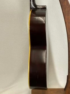 Used 1895 Washburn New Model