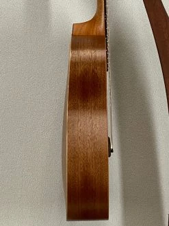 Taylor GS Mini Mahogany SN:2210191409 Acoustic 16 Taylor GS Mini Mahogany SN:2210191409 Acoustic