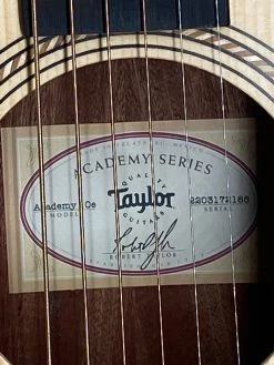 Taylor Academy 10e SN:2203172188 Acoustic