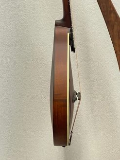 Eastman MDO305 SN:N2107312 Mandolins