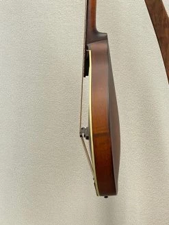 Eastman MDO305 SN:N2107312 Mandolins