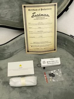 Electric Eastman T386 Classic SN:P2102932