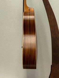 Taylor GS Mini-e Rosewood SN:2203232274