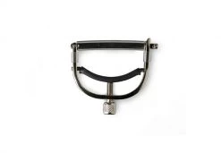 Accessories Taylor 6-String Capo - Bright Nickel