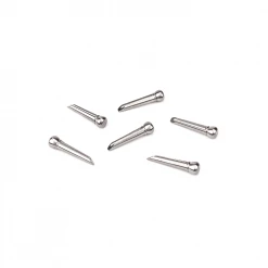 Accessories D'Addario Titanium Bridge Pins - Set Of 6