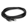Accessories Hosa USB-210AB 10 Ft