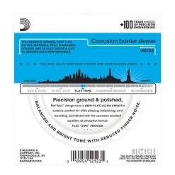 D'Addario EFT16 Flat Tops Phosphor Bronze Acoustic Guitar Strings .012-.053 Accessories