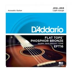 D'Addario EFT16 Flat Tops Phosphor Bronze Acoustic Guitar Strings .012-.053 Accessories