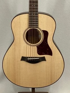 Taylor GT Urban Ash SN:1205261011