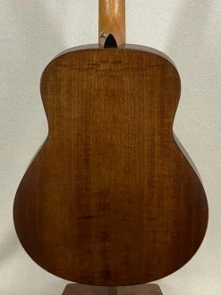 Taylor GT Urban Ash SN:1205261011