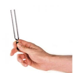 D'Addario A Tuning Fork